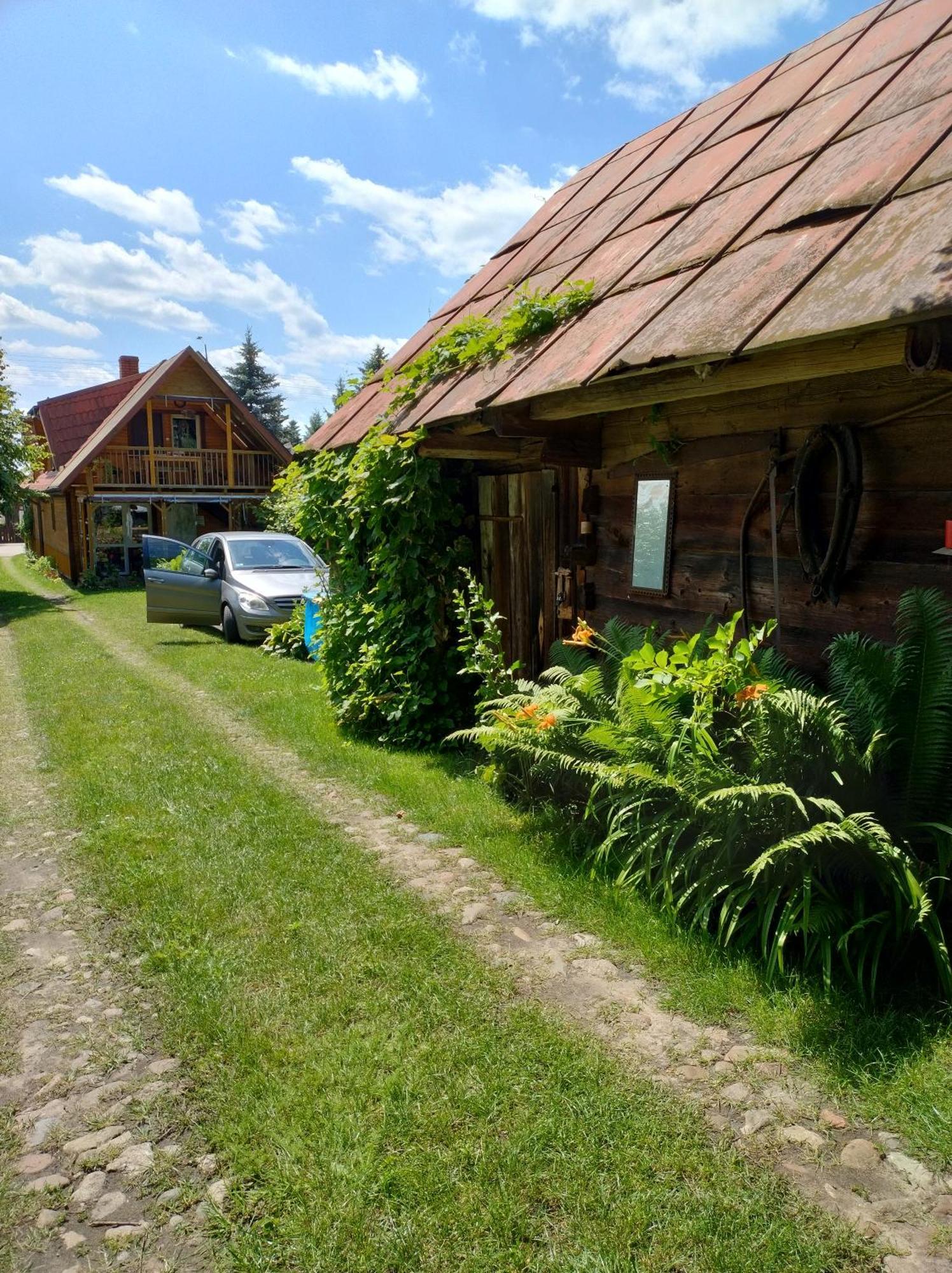 Dom Sloneczko Pokoje Do Wynajecia W Bialowiezy Białowieża Екстериор снимка
